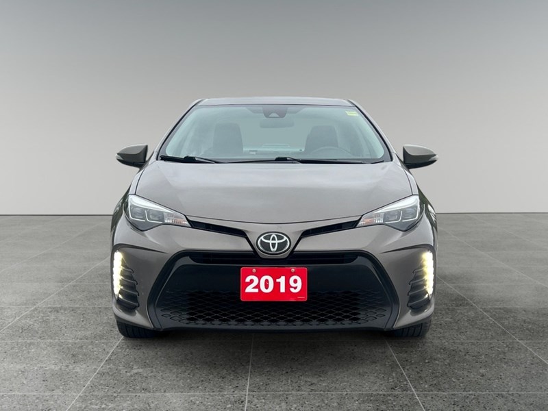 2019 Toyota Corolla SE Manual